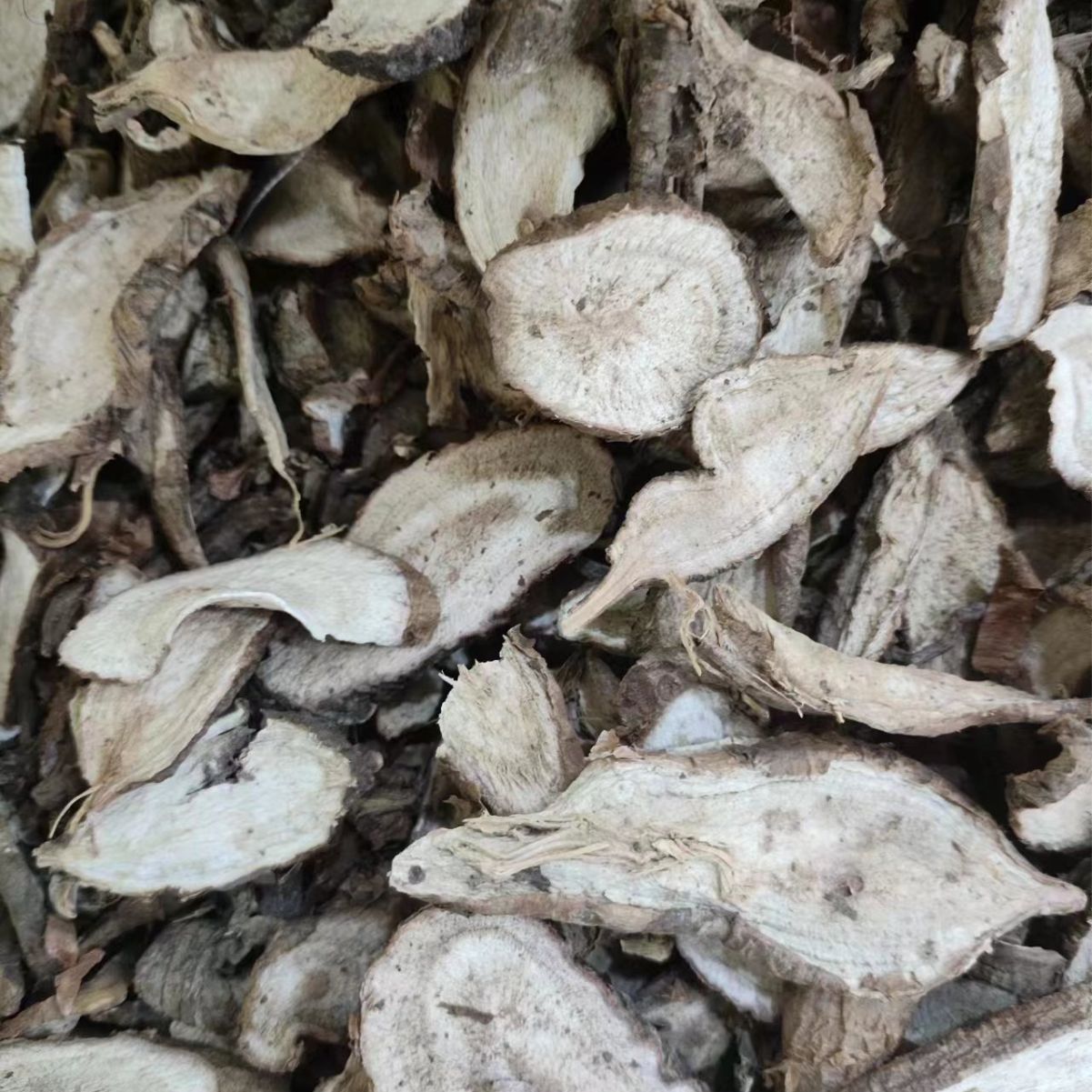 Bai Lian Root (Ampelopsis japonica) — Dried Chinese Herb, Sliced or Powdered - Image 4