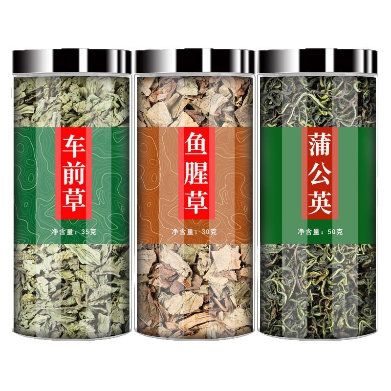 Plantain Houttuynia Dandelion Herbal Tea Bag 30g Cold Brew Blend for Daily Wellness - Image 5