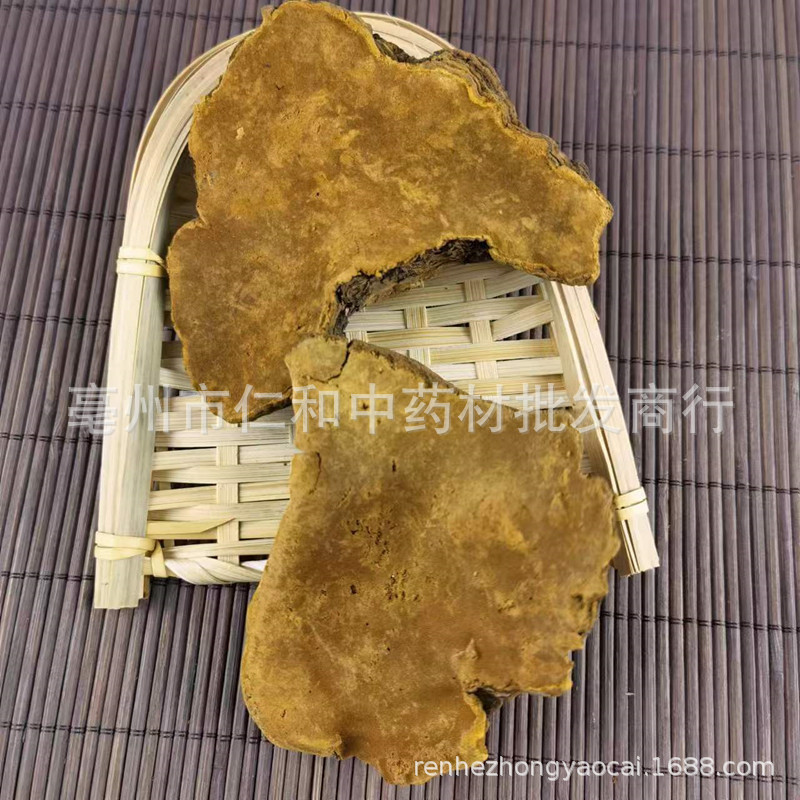 Sang Huang Mulberry Yellow Fungus Dried Phellinus 500g Bulk Herbal Ingredient for Cooking and Decoction - Image 4