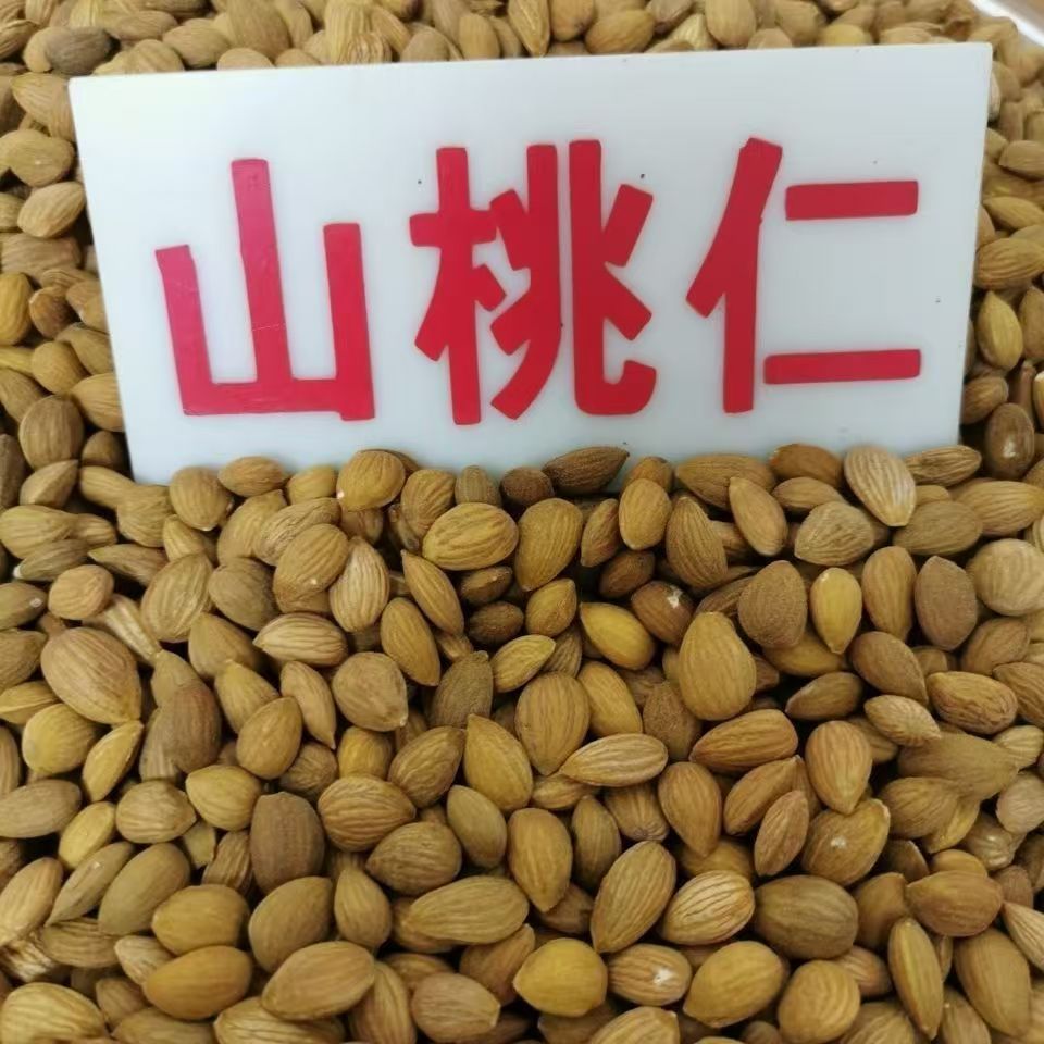 Peach Kernel Tao Ren 山桃仁 Dried Prunus persica Seed for TCM Decoctions 500g - Image 2