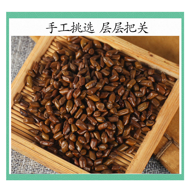Premium Roasted Cassia Seed Tea Jue Ming Zi 500g Dried Cassia Seeds for Daily Herbal Infusions - Image 3