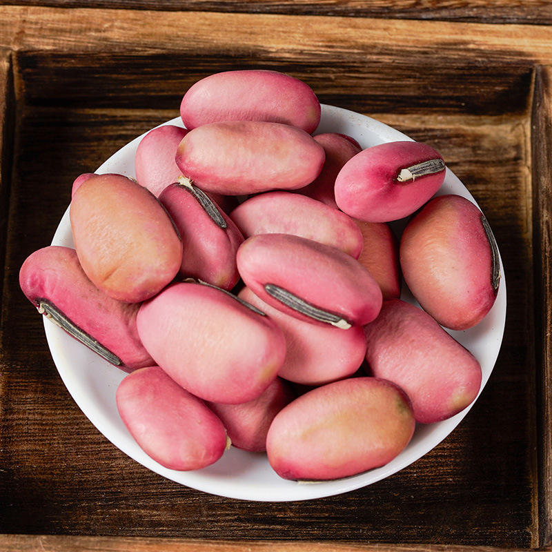 Red Sword Bean (Canavalia gladiata) — Dried Food Herb, Whole Beans & Custom Powder - Image 2