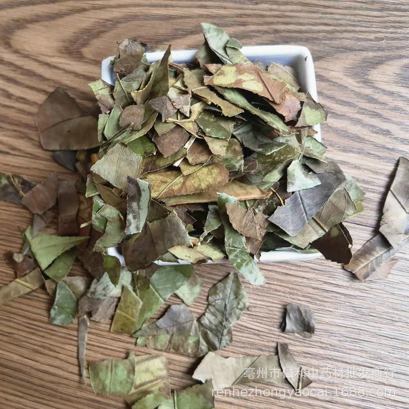 Dried Shi Nan Ye Photinia Leaf Whole Leaf Traditional Chinese Herb for Decoction and Tea - Image 3
