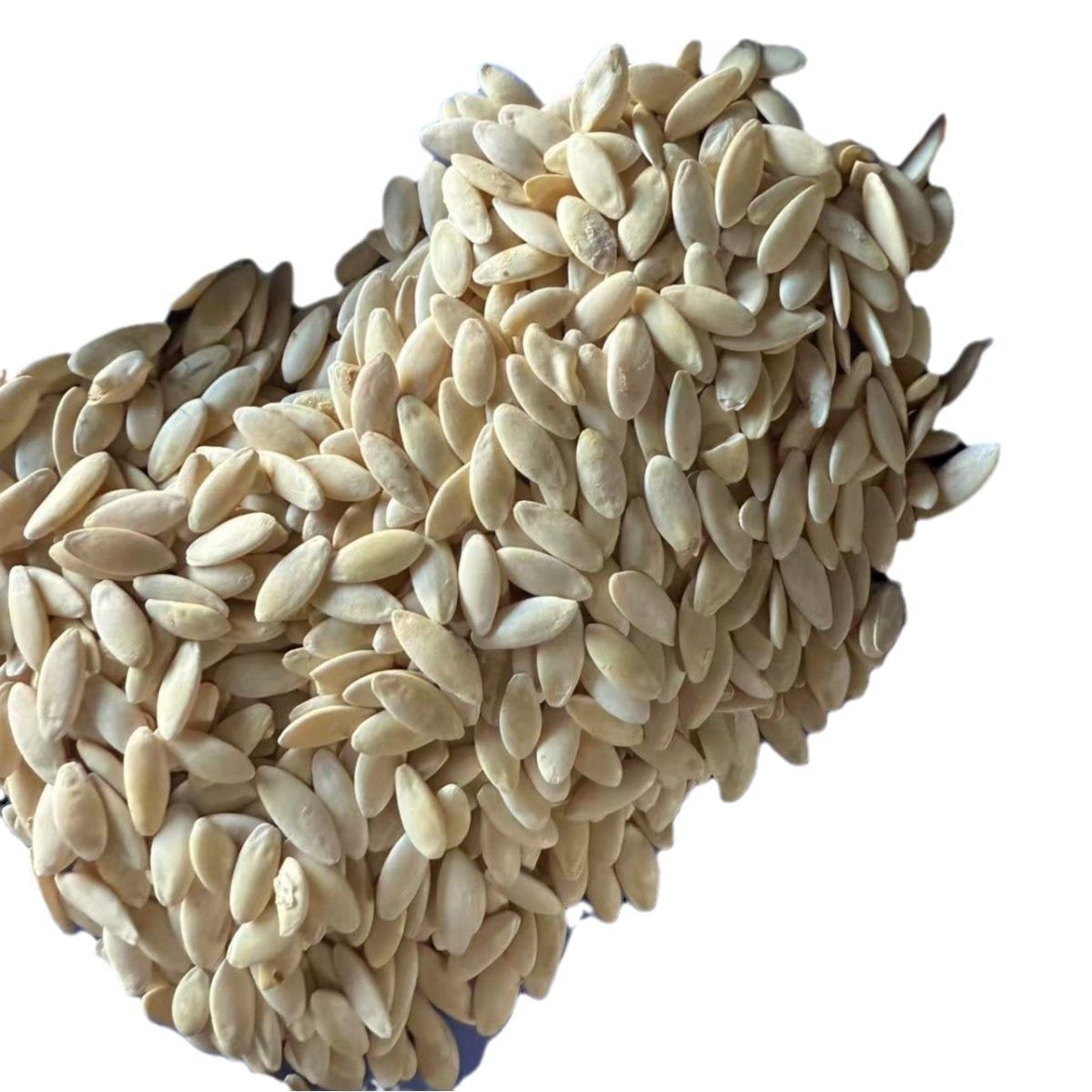 Large White Cucumber Seeds Huang Gua Zi 500g Hand Selected Raw Edible Seeds - Image 5