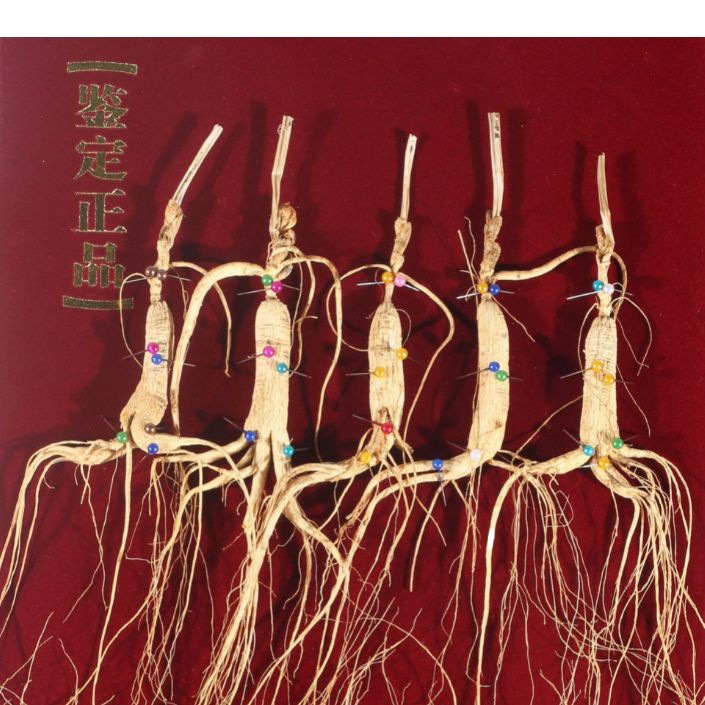 Changbai Mountain Wild-Simulated Ginseng Gift Box Dried Root for Wine Soaking and Traditional Herbal Use - Image 5