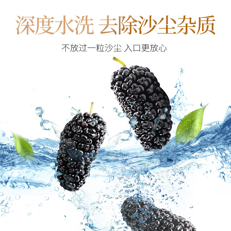 Dried Black Mulberry Fruit Sang Shen Zi 2024 New Crop Natural Herbal Snack and Tea Ingredient - Image 4