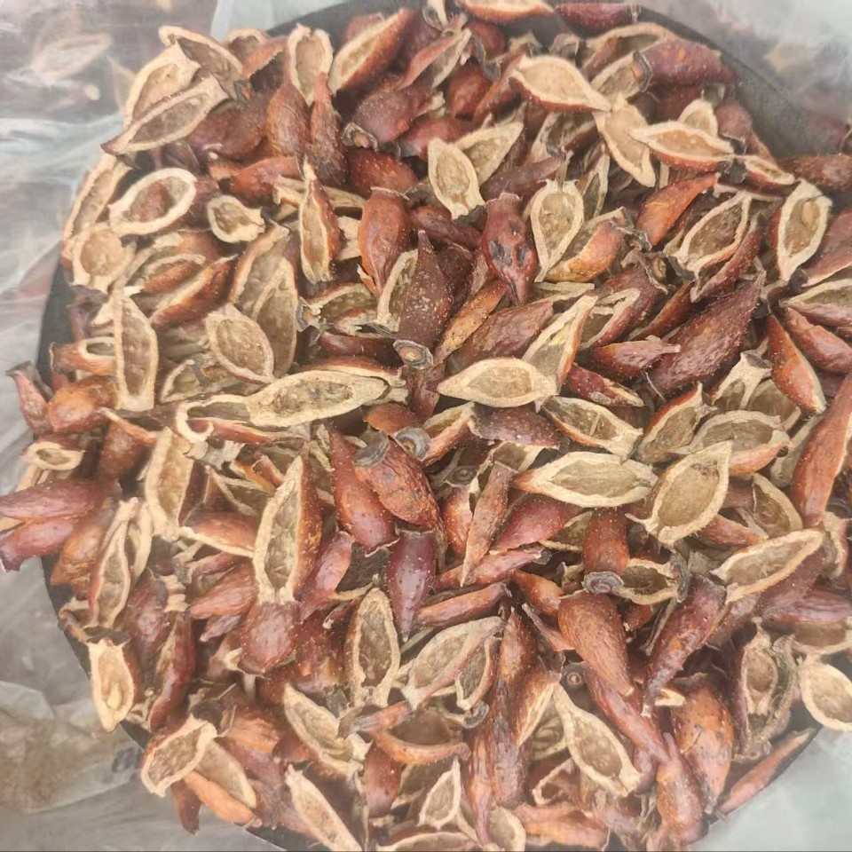 Dried Cherokee Rose Fruit Jin Ying Zi 500g Hand Seeded Slices for Tea Wine and Soup - Image 3