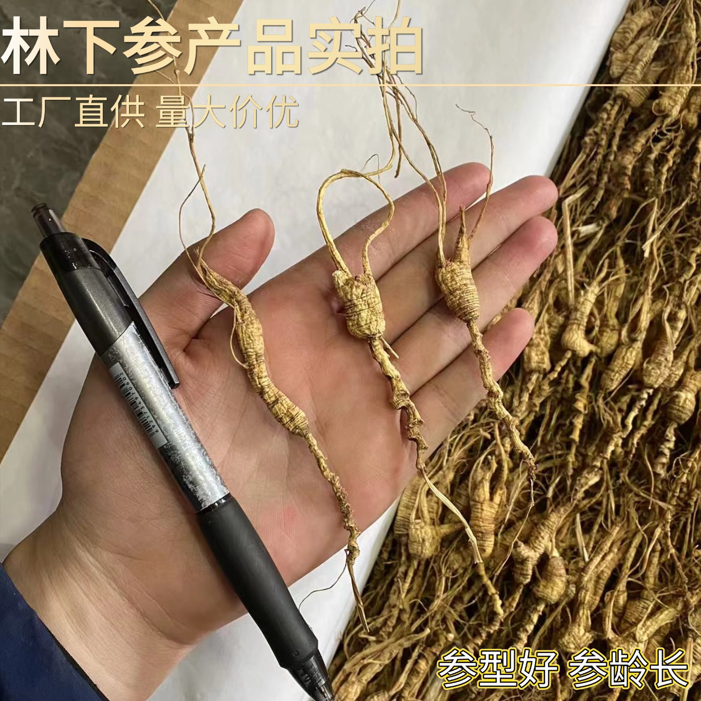 Dried Forest Ginseng Seedling Root Slices Sun Dried Jilin Grown Culinary Herb 500g - Image 2