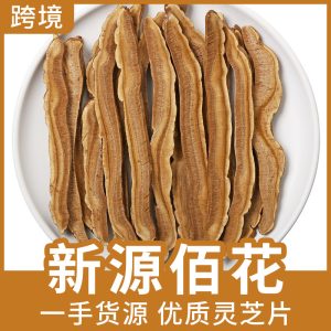 Changbai Mountain Reishi Mushroom Slices (Ganoderma lucidum) — Dried Ling Zhi for Tea & Soup