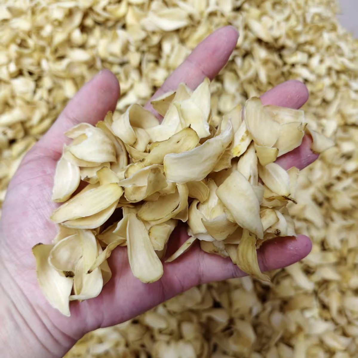 Dried Longya Baihe Lily Bulb Slices 500g Hunan Longhui Dragon Tooth Lily Bulb for Soup Congee and Herbal Tea - Image 3