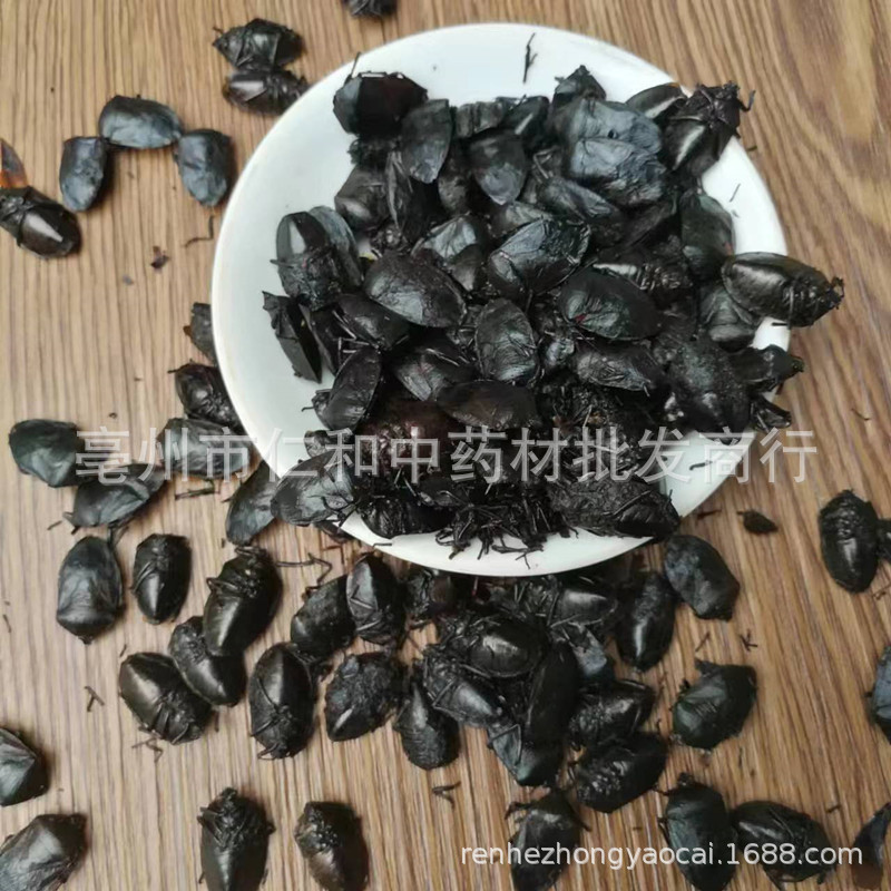 Jiu Xiang Chou Dried Bug Whole Insect Raw Herb Traditional TCM Ingredient Sealed Storage - Image 4