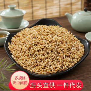 Bai Zi Ren (Platycladus orientalis Seed) — Shelled Arborvitae Seeds, 500g New Crop