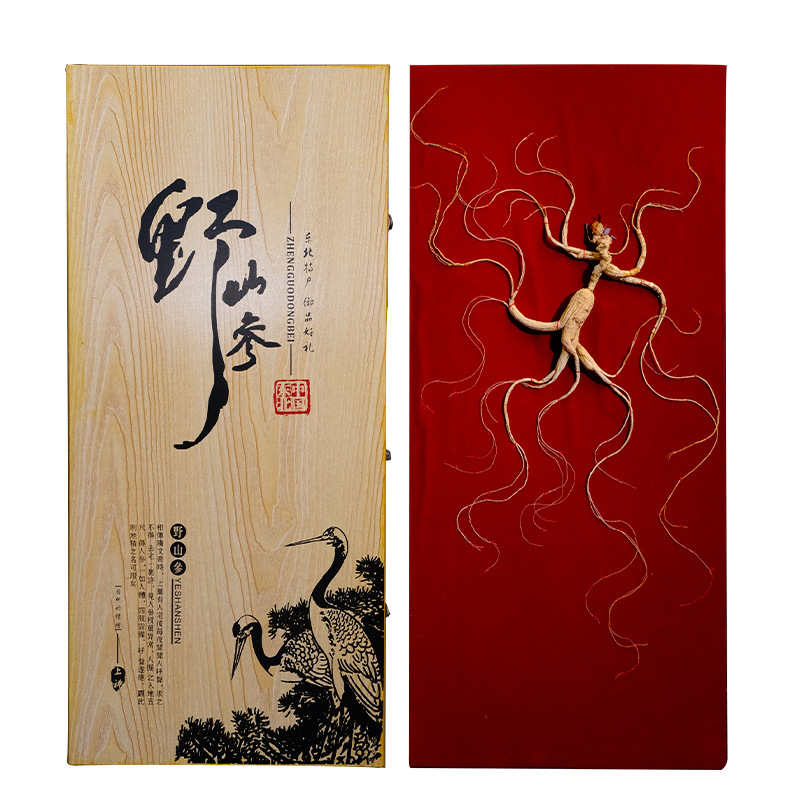 Jilin Changbai Mountain Forest Ginseng Gift Box Dried Ginseng Root for Cooking Elderly Gift - Image 5