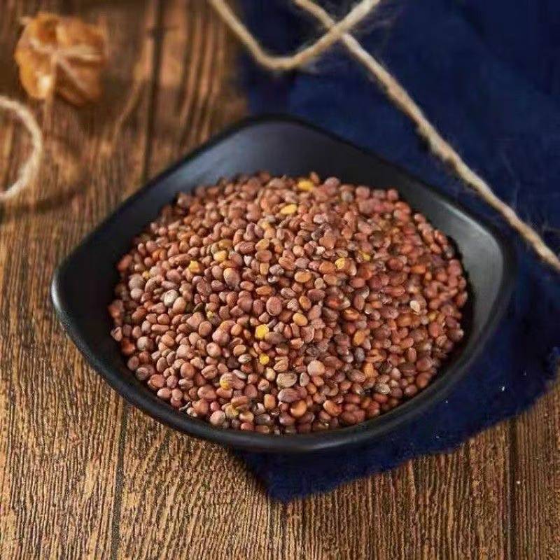 Lai Fu Zi (Raphanus sativus Seed) — Dried Radish Seed for Tea & Decoction - Image 5