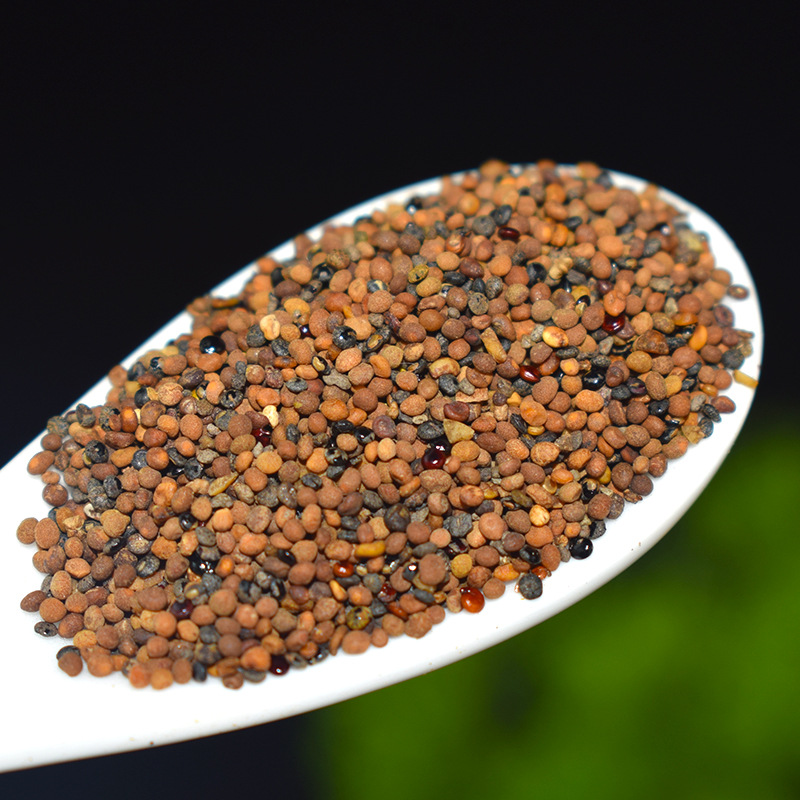 Dried Dodder Seed Tu Si Zi Whole Herb 500g Bulk Chinese Herbal Ingredient - Image 4