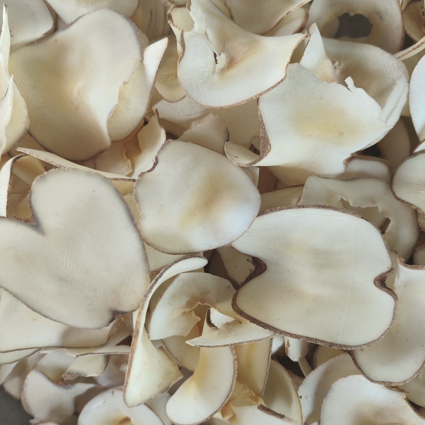 Hai Di Ye Dried Slices (Borassus flabellifer) — Food Herb for Soup & Dessert - Image 3