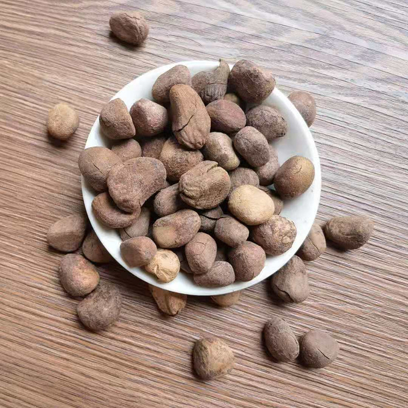 Dried Chaulmoogra Seeds Da Feng Zi 大枫子 Whole Herb Bulk Supply - Image 2