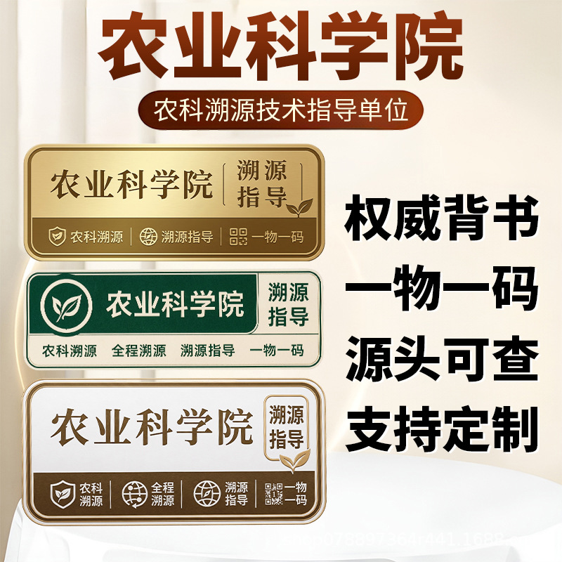 Premium Pine Needle Tea Powder Wild Changbai Mountain Song Zhen Cha 250g - Image 3