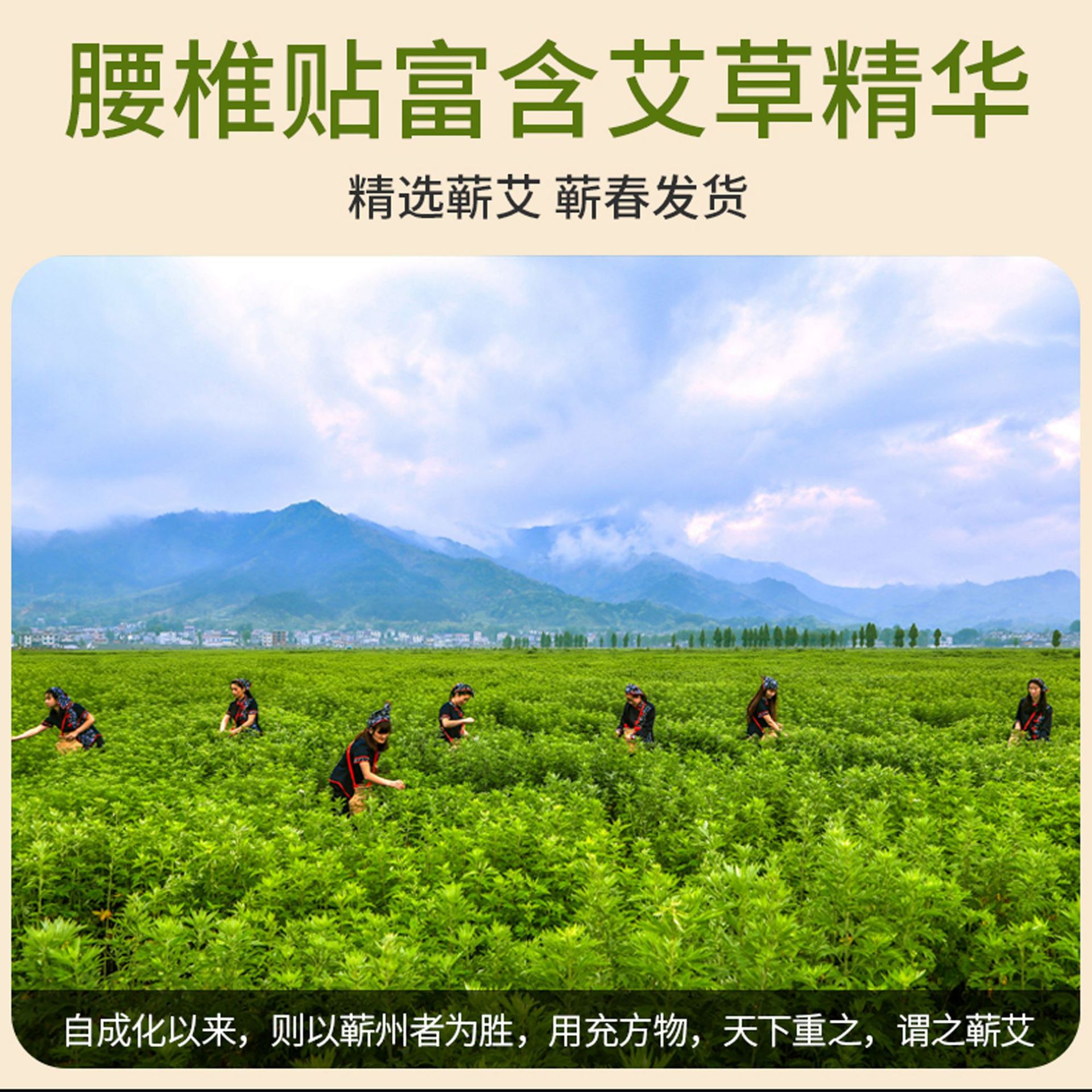 Qiyitang Knee Patch Qichun Mugwort Herbal Patch 12 Patches per Box External Use - Image 4