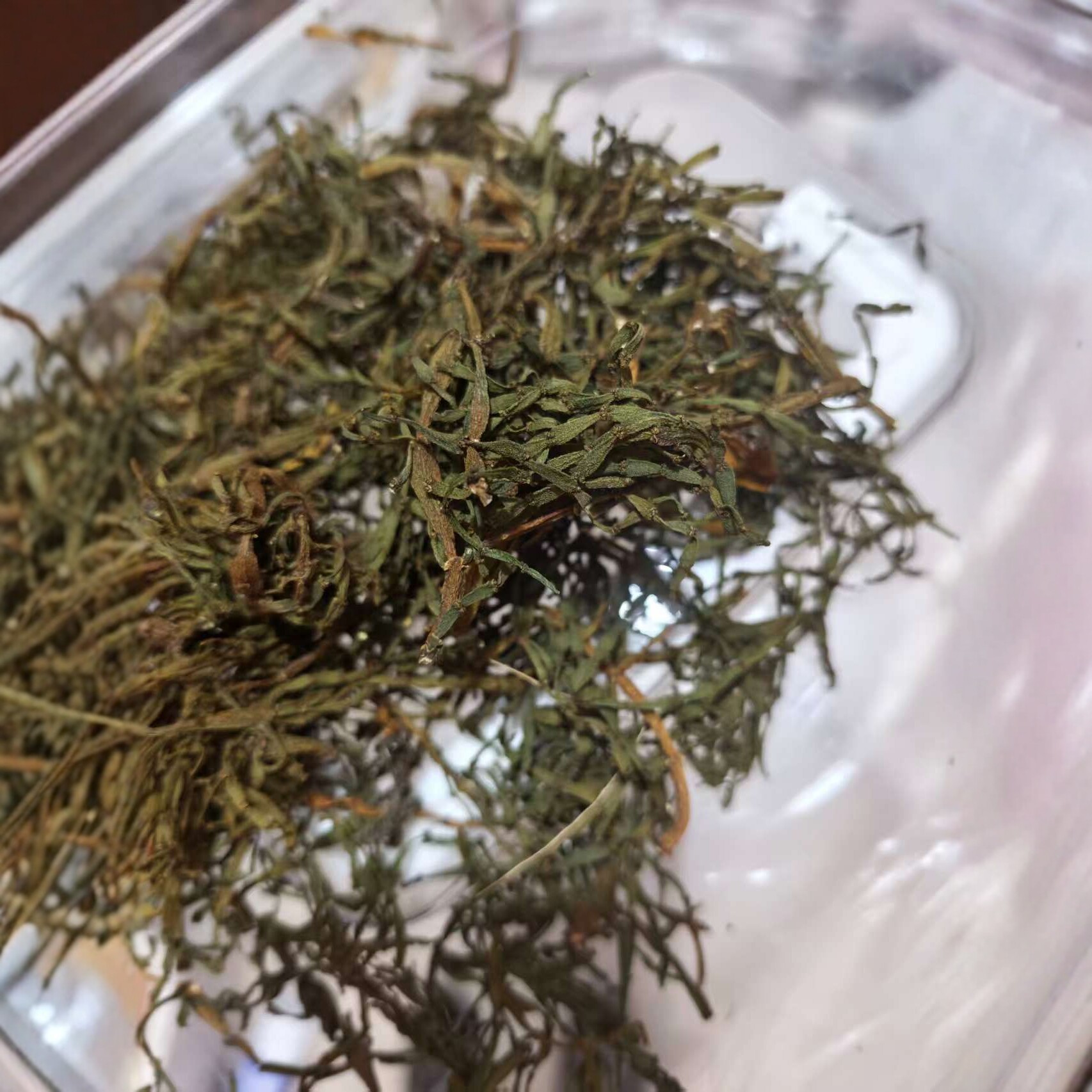 Pang Xie Jiao (Viscum articulatum) — Wild Yunnan Ancient-Tree Herbal Tea Twig, 100g - Image 2