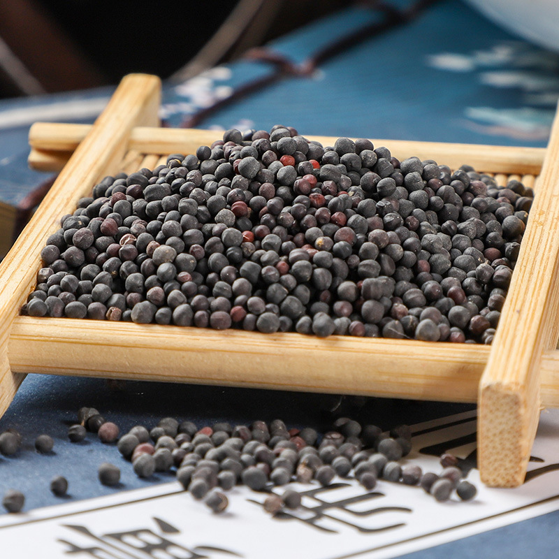 Wang Bu Liu Xing (Vaccaria segetalis) — Dried Cowherb Seeds, Food Herb for Tea & Soup - Image 2