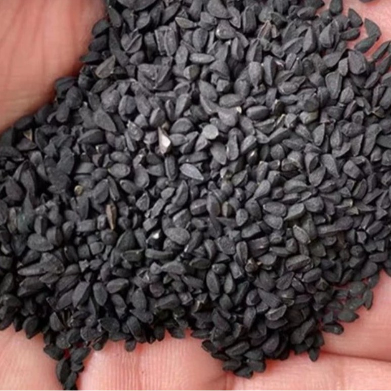 Black Cumin Seeds (Nigella sativa) — Dried Food Herb, 500g Bulk Herbal Seed - Image 3
