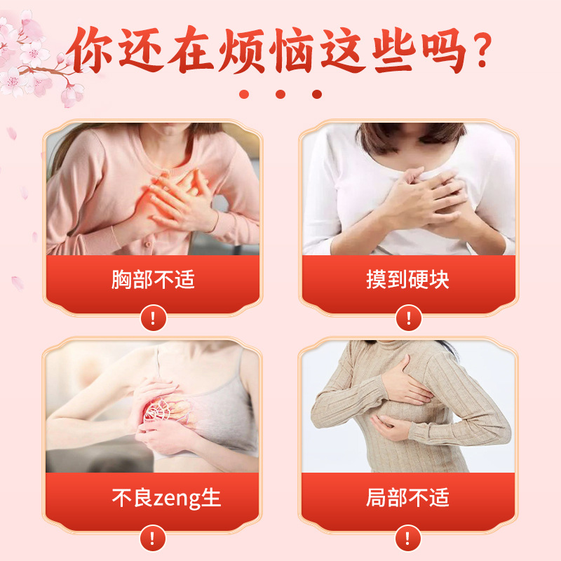 Breast Care Herbal Patch 6-Piece Pack for Women Chest Wellness External Use - Image 2