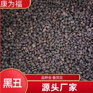 Hei Chou Seeds (Pharbitis nil) — Dried Qian Niu Zi Herb, Also Available as Bai Chou Powder