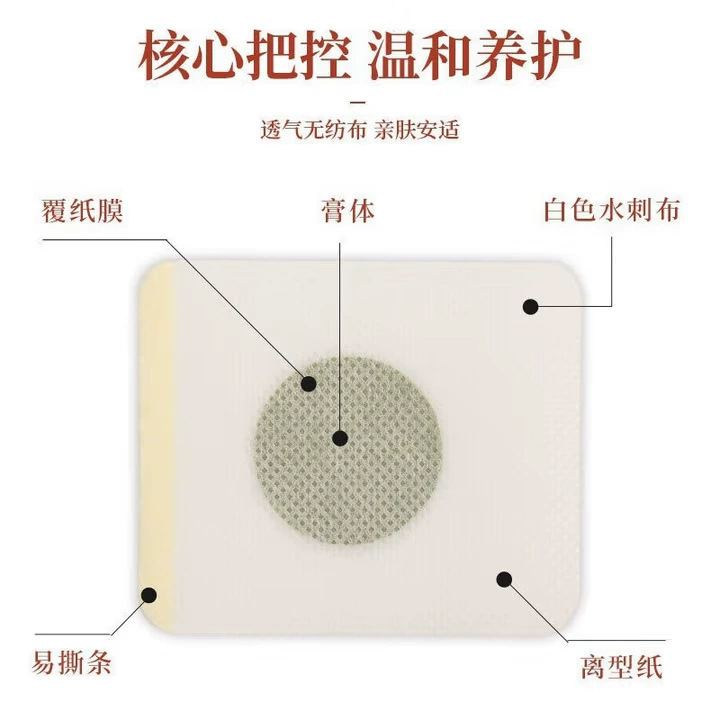 Evodia Cinnamon Foot Patches Wu Zhu Yu Rou Gui Multi-Site Herbal Patches with Mugwort 30 Patches - Image 4