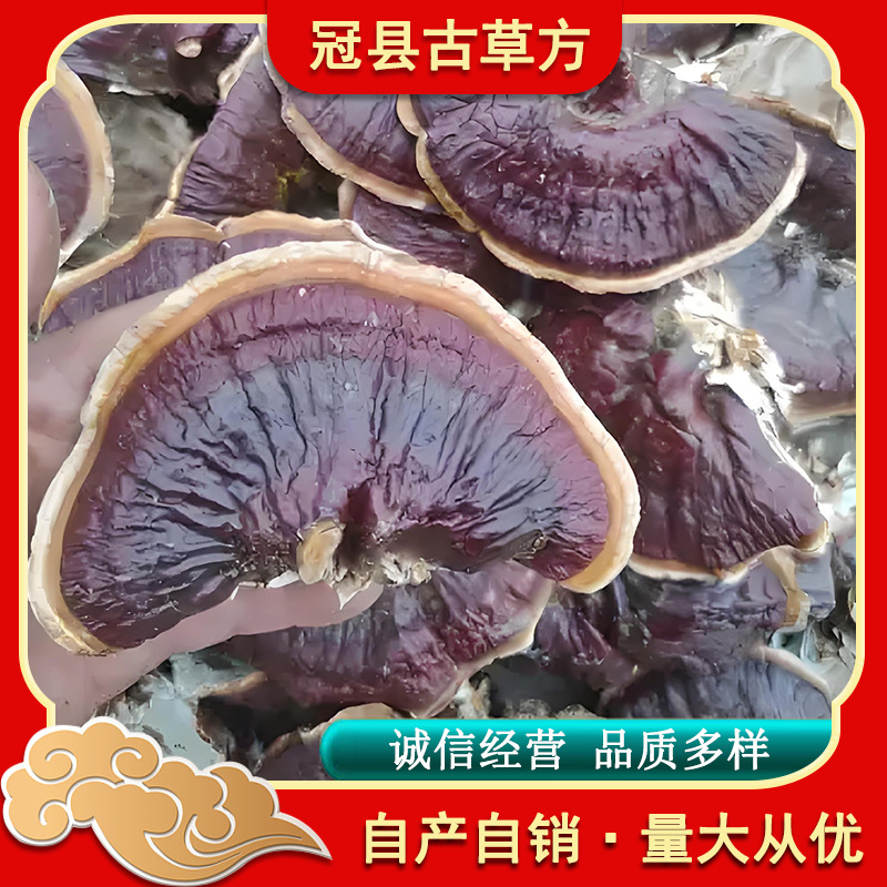 Black Reishi Mushroom Dried Slices Ling Zhi for Tea Soup and Wine Soaking - Image 2