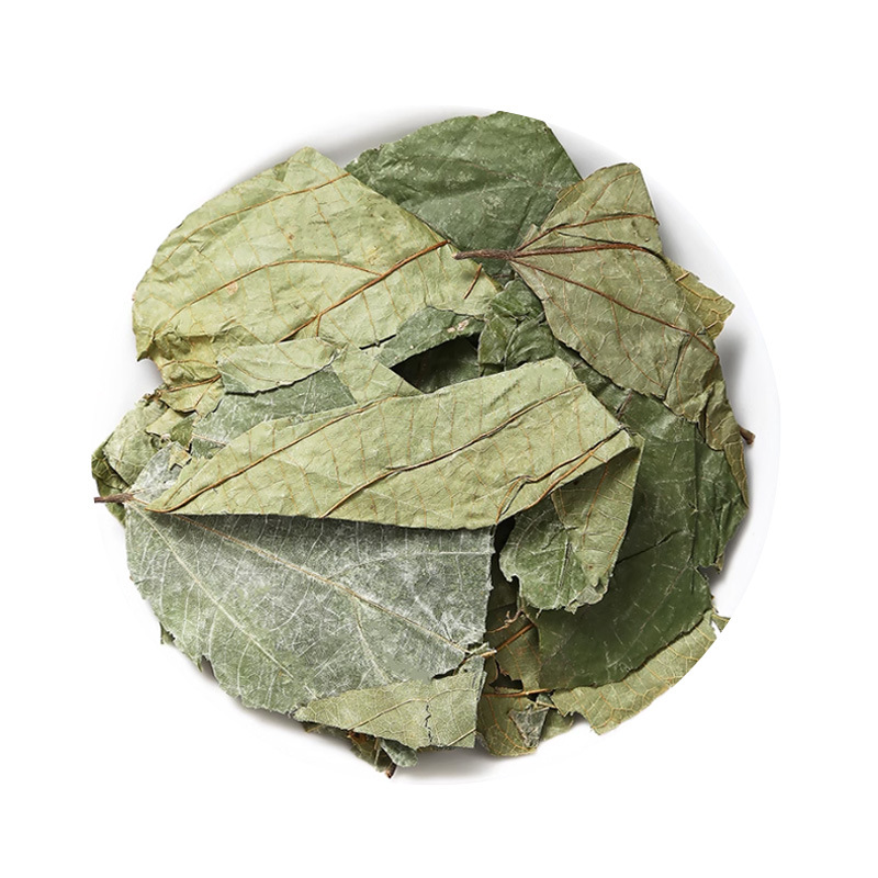 Bu Zha Ye (Microcos paniculata) — Dried Food Herb Leaf for Tea & Soup - Image 5