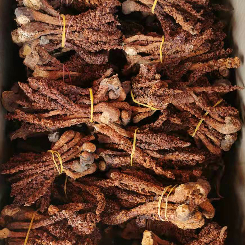Bu Lao Cao Dried Herb 500g Boschniakia Rossica Whole Root for Herbal Wine and Decoction - Image 4