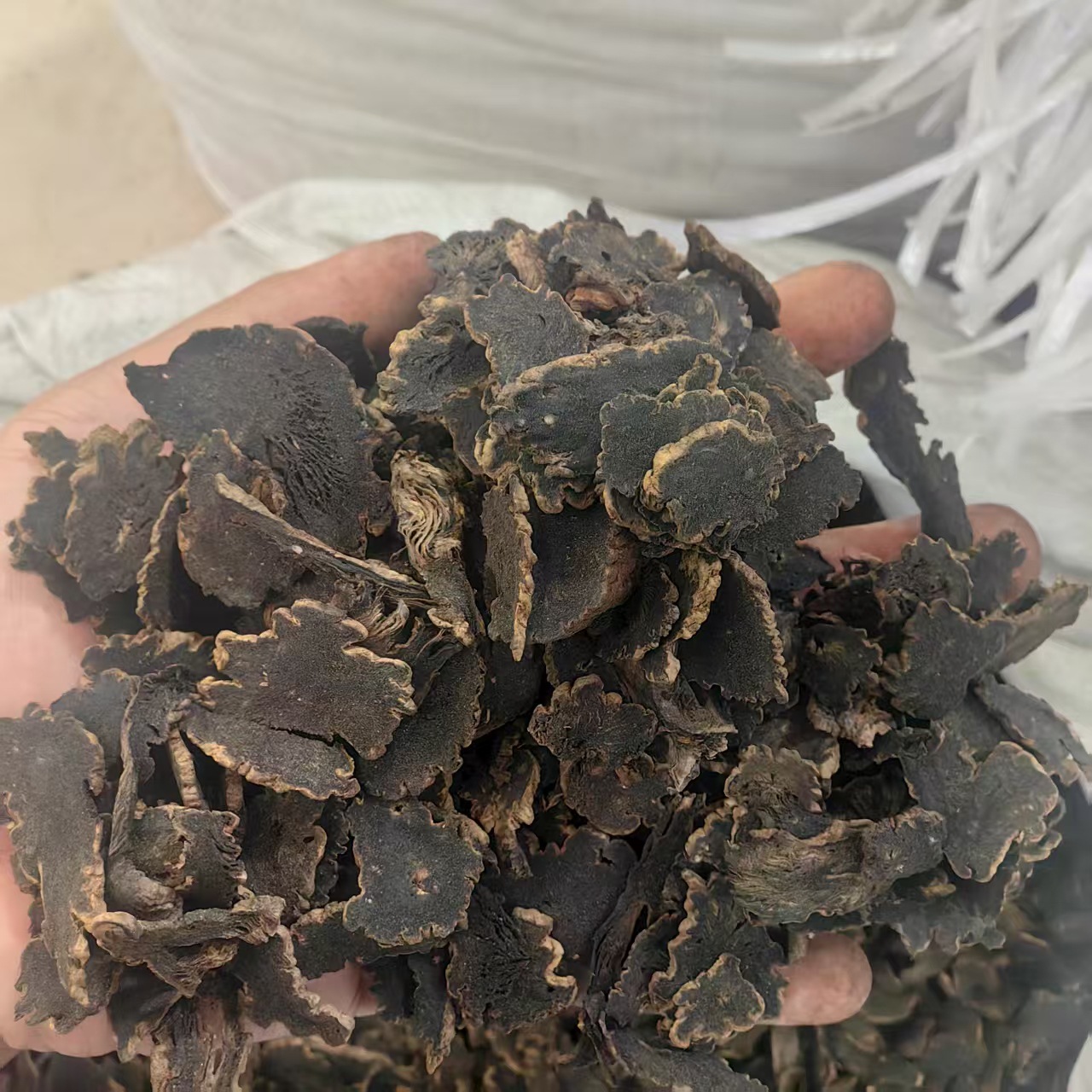 Xuan Shen Figwort Root Powder 500g Traditional Chinese Herb Scrophularia ningpoensis - Image 3