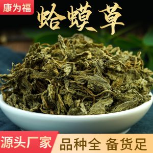 Ha Ma Cao (Salvia plebeia) — Dried Food Herb, 500g Loose Leaf