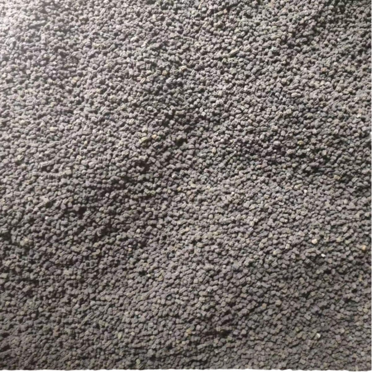 Can Sha (Bombyx mori Excrementum) — Dried Silkworm Droppings, Traditional Herbal Decoction Piece 500g - Image 5