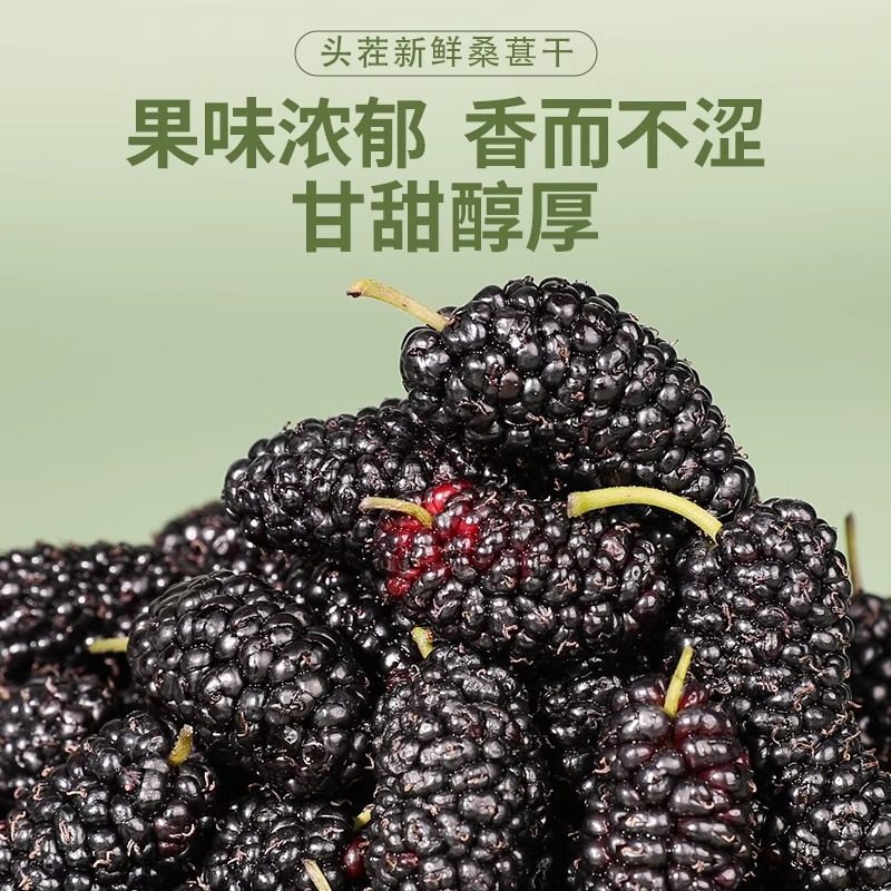 Premium Dried Mulberries Sang Shen 500g Large Whole Berries for Tea Snacks and Culinary Use - Image 4