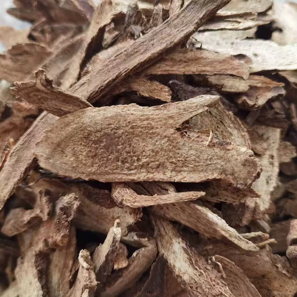 Mu Xiang (Aucklandia lappa) Dried Root Slices — Traditional Qi-Regulating Herb, 500g - Image 2