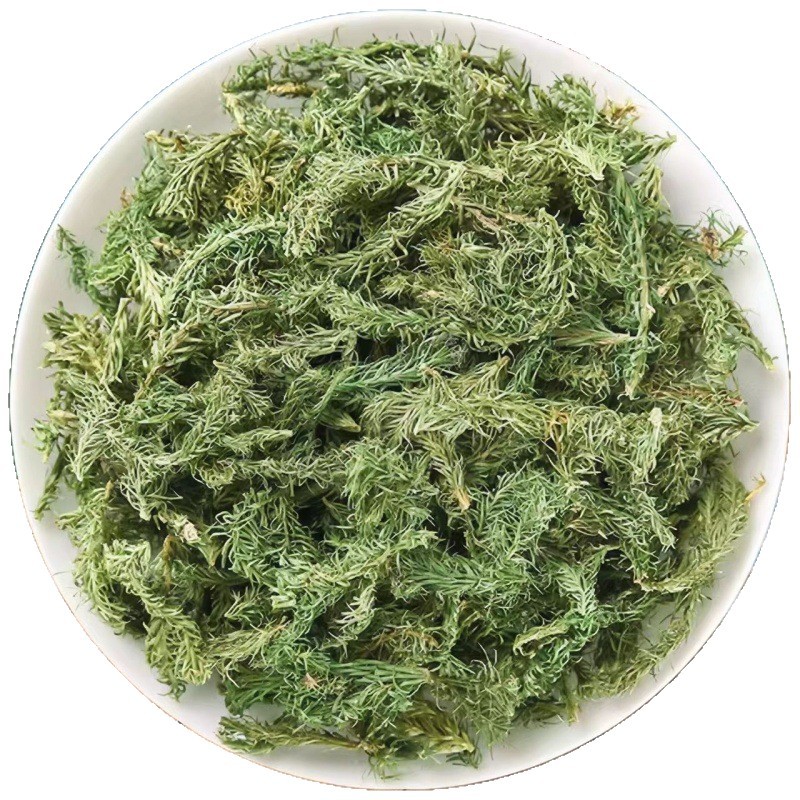 Shen Jin Cao (Lycopodium clavatum) — Dried Clubmoss Herb for Foot Soaks & Herbal Wine - Image 5