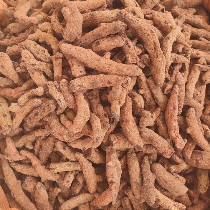 Xue San Qi (Blood Panax) — Dried Herbal Root, 250g Powder-Grade - Image 4