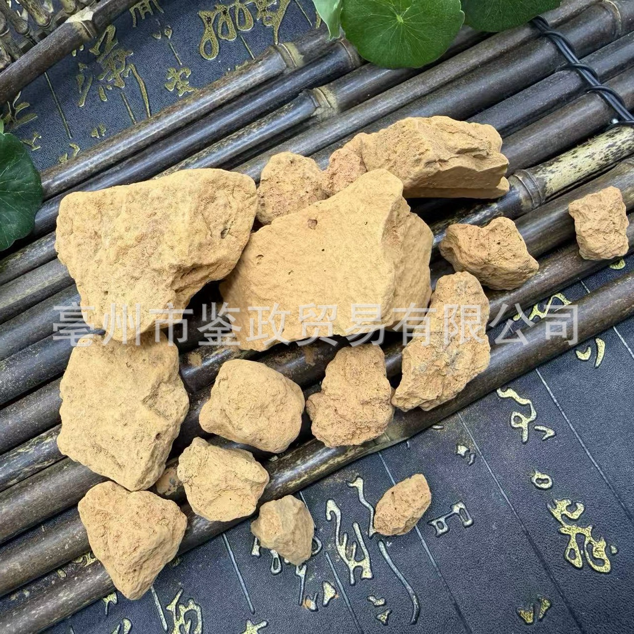 Fu Long Gan Fulonggan Dried TCM Herb Traditional Decoction Material for Herbal Use - Image 3