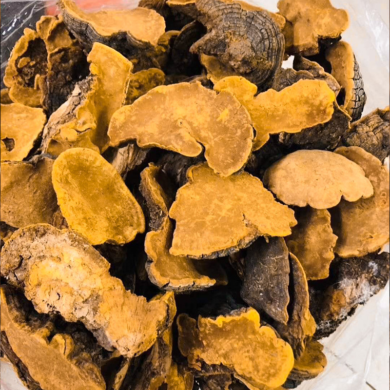 Wild Changbai Mountain Sang Huang Mushroom Slices Traditional Chinese Herbal Decoction Ingredient - Image 3
