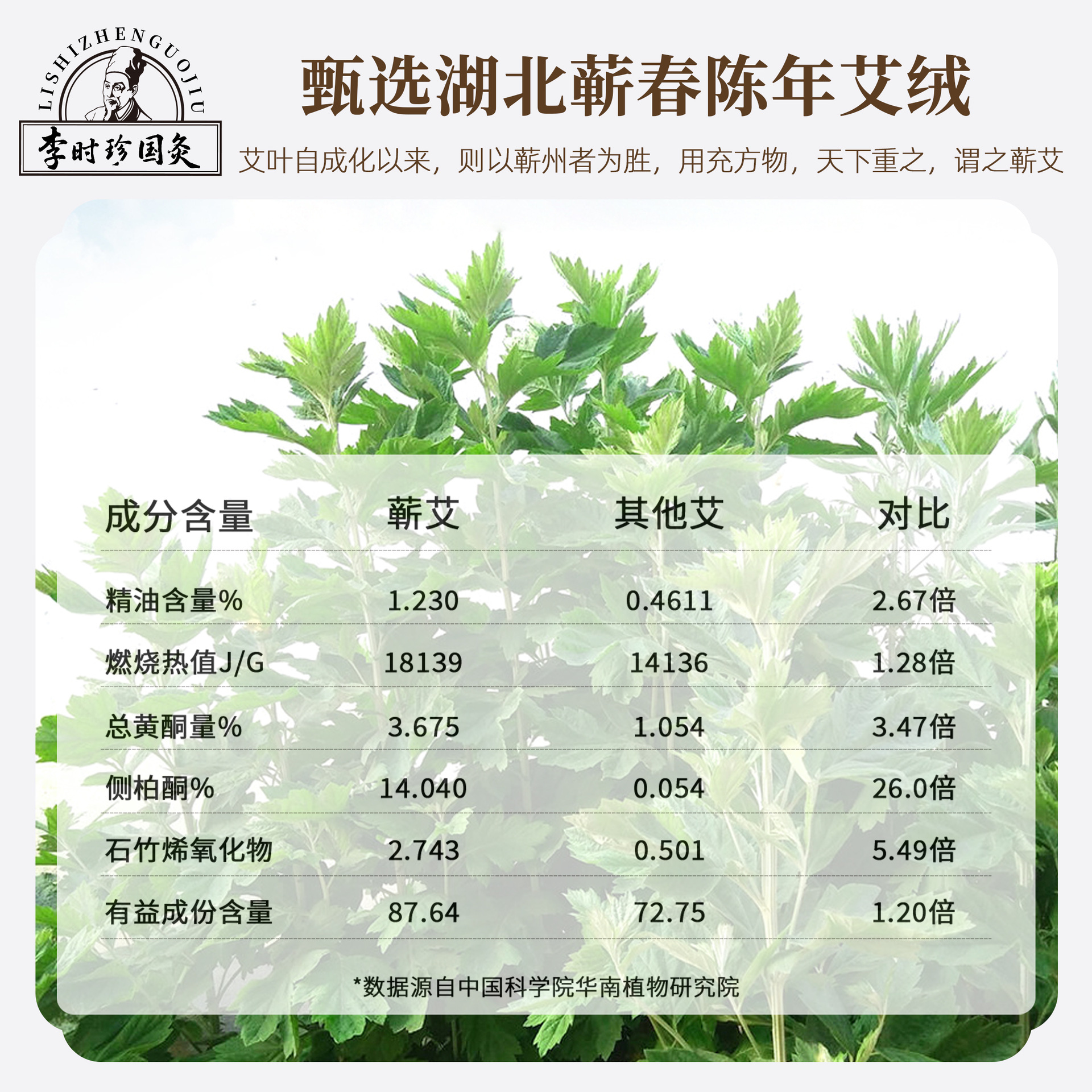 8cm Qiai Moxa Stick Thick Hand-Rolled Mugwort Roll for Whole Body Moxibustion Home and Studio Use - Image 3