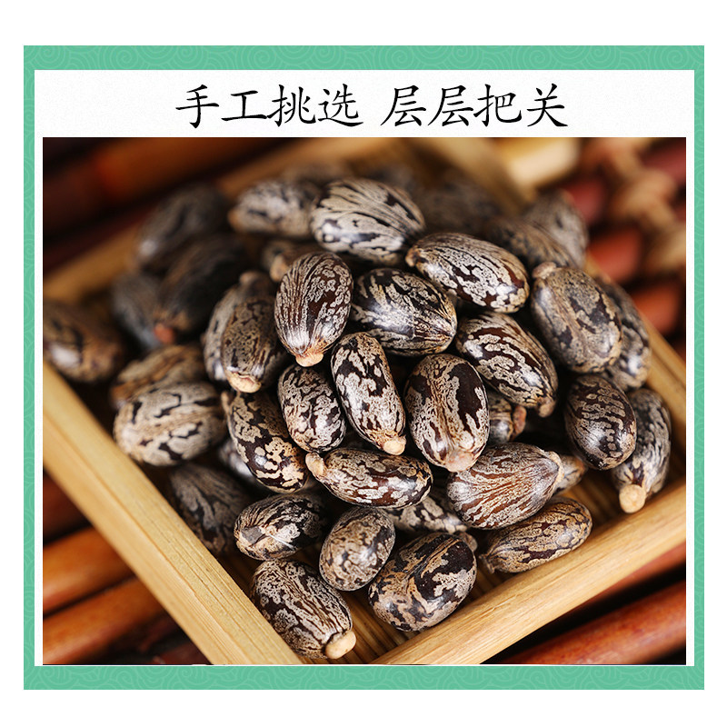 Wild Castor Seeds 500g Ricinus Communis Dried Bi Ma Zi Raw Herb for External Herbal Use - Image 3