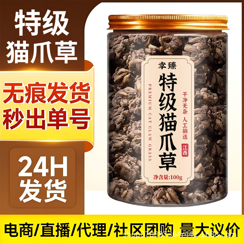 Premium Cat's Claw Herb Mao Zhua Cao Dried Root for Traditional Herbal Decoction Tea 100g - Image 2