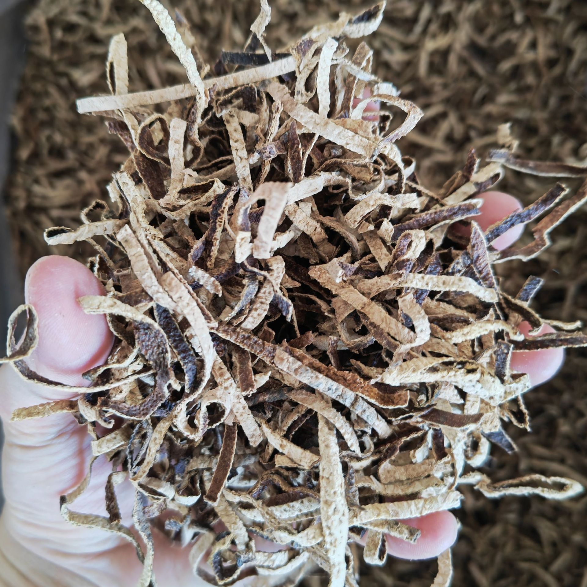 Aged Chenpi (Citrus reticulata) — Sun-Dried Xinhui Tangerine Peel, 10–20 Year Aged Dahongpi - Image 4