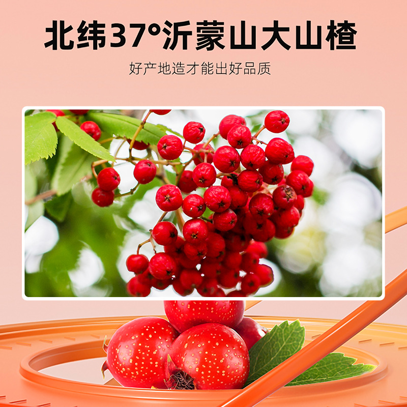 Dried Hawthorn Slices Seedless Pitted Hawthorn Fruit for Tea and Water Infusion 85g - Image 5