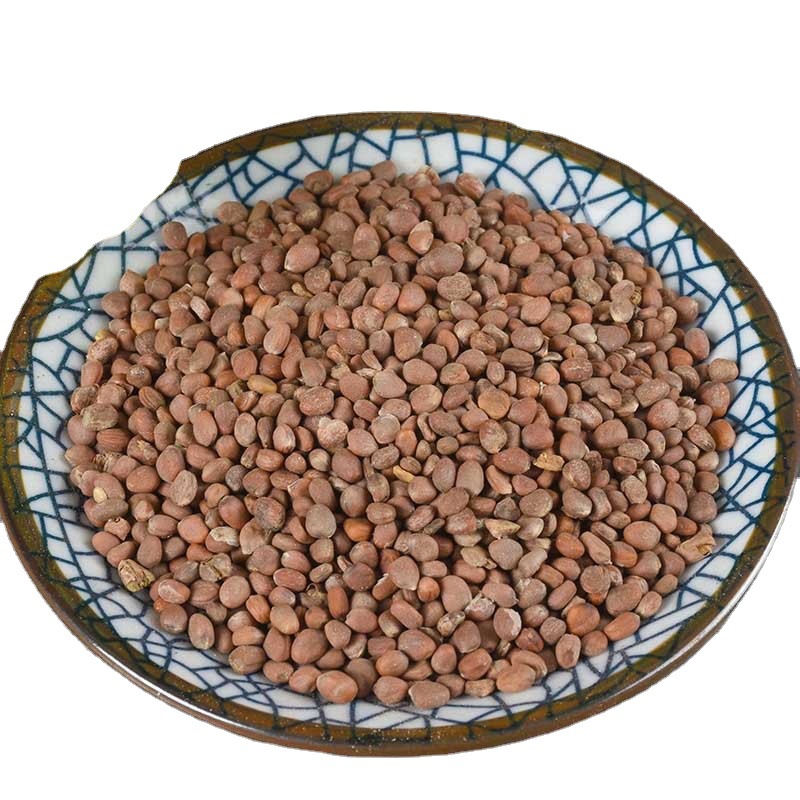 Lai Fu Zi (Semen Raphani) — Dried Radish Seed, Food-Herb for Tea & Soup - Image 5