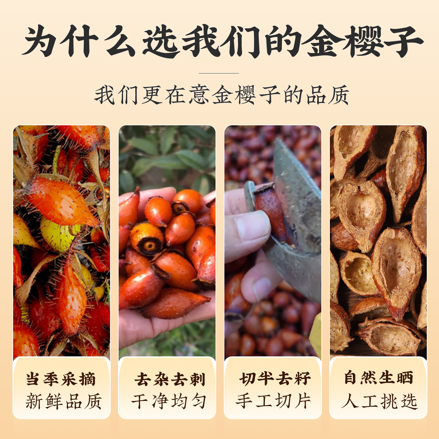 Dried Cherokee Rose Fruit Jin Ying Zi 金樱子 Tea Wine Soup Herb Wild Harvested 1500g Jar - Image 2
