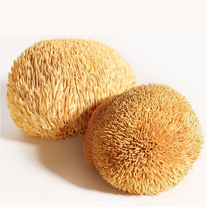 Dried Lion's Mane Mushroom 200g Sun Dried Gutian Specialty Edible Fungus for Soup and Tea - Image 2