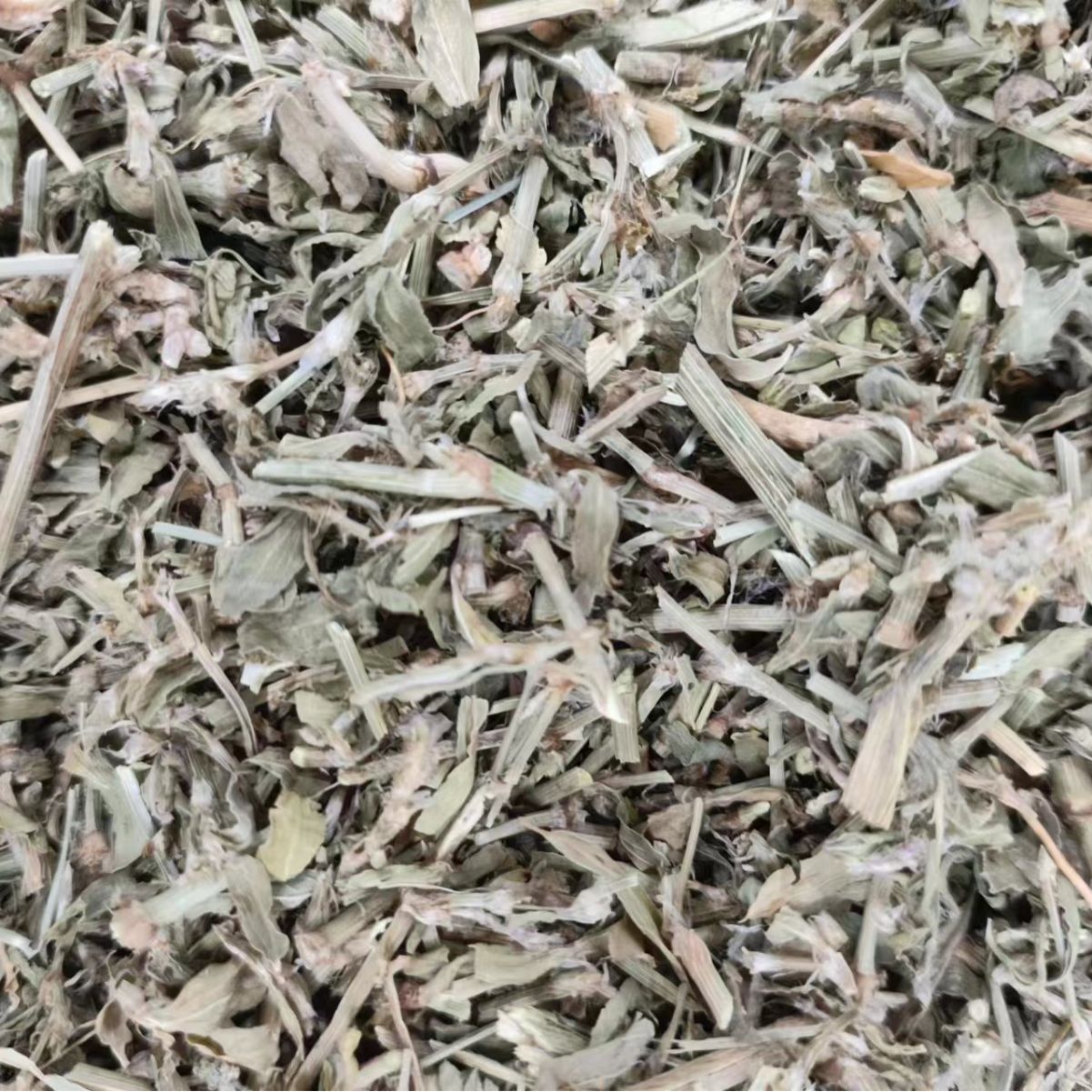Bian Xu (Polygonum aviculare) — Dried Aerial Herb, Food-Herb for Tea & Decoction - Image 2
